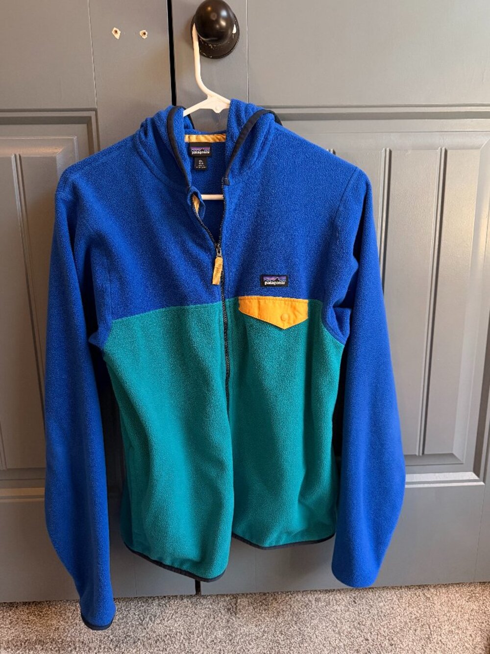 Patagonia blue/teal hoodie